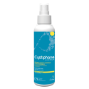 Cystine B6 Lotion Antichute de cheveux