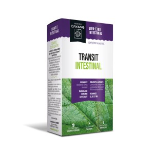 Dayang Transit intestinal