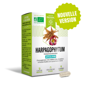 DAYANG Bio Harpagophytum...