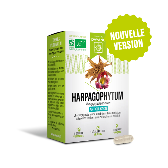 Harpagophytum Bio sphère articulaire Dayang