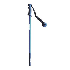 Bâton de trekking Bleu
