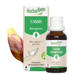 Herbalgem Bourgeons de cassis
