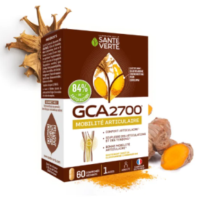 GCA2700 Mobilité...