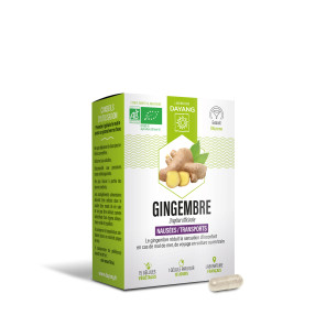 DAYANG BIO Gingembre 15...
